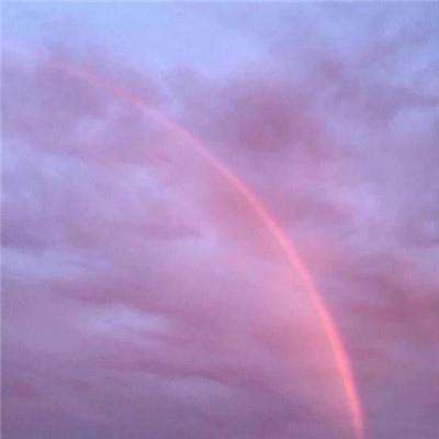 半岛官方APP入口手机app下载