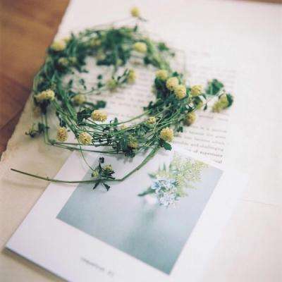 Bsport体育最新版截图