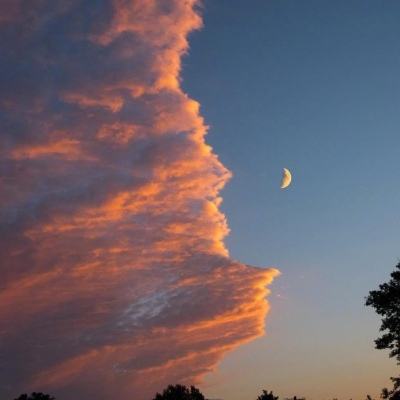 华体会登录手机版